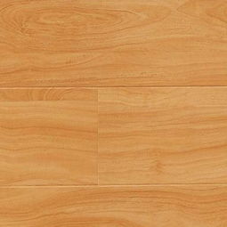 地宝龙木地板产品 地宝龙木地板产品图片 地宝龙木地板怎么样 最新地宝龙木地板产品展示 3158创业信息网
