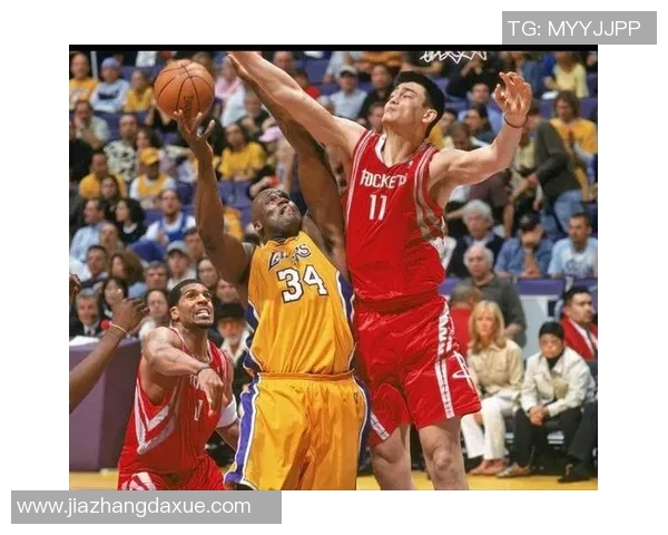 姚明退役后的篮球生涯反思与未来发展方向探讨