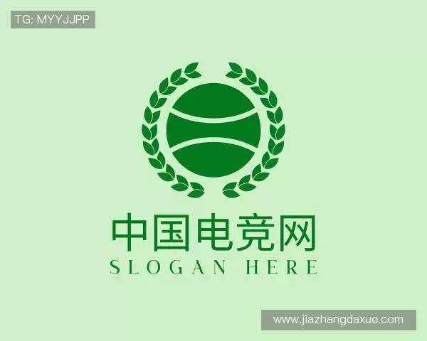 解读中国电竞网